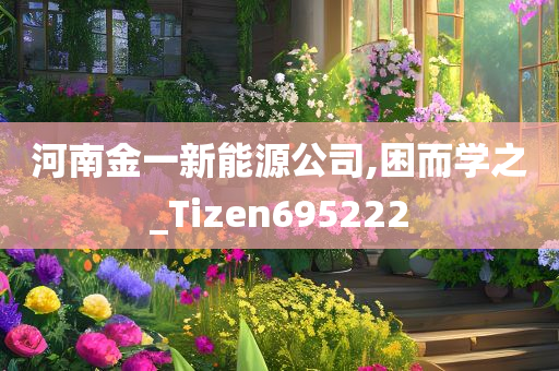 河南金一新能源公司,困而学之_Tizen695222