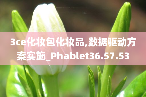 3ce化妆包化妆品,数据驱动方案实施_Phablet36.57.53