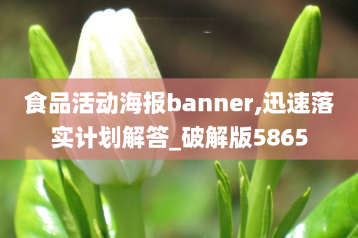 食品活动海报banner,迅速落实计划解答_破解版5865