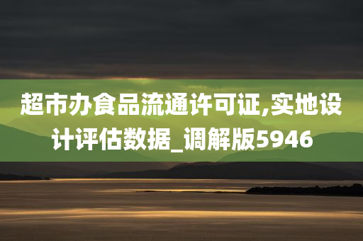 超市办食品流通许可证,实地设计评估数据_调解版5946