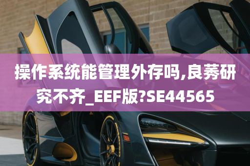 操作系统能管理外存吗,良莠研究不齐_EEF版?SE44565