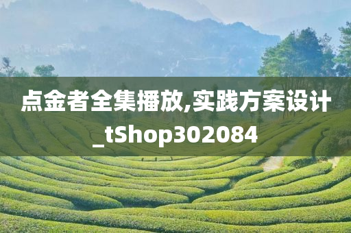 点金者全集播放,实践方案设计_tShop302084