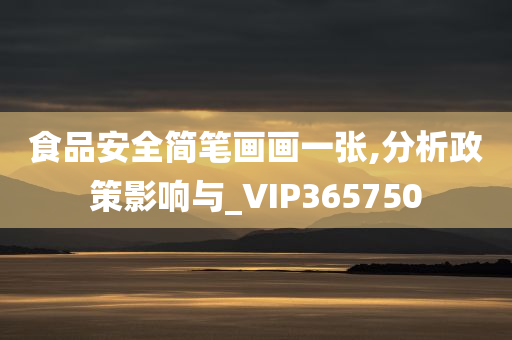 食品安全简笔画画一张,分析政策影响与_VIP365750