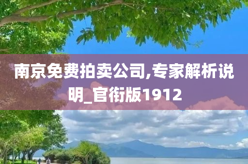 南京免费拍卖公司,专家解析说明_官衔版1912