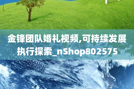 金锋团队婚礼视频,可持续发展执行探索_nShop802575