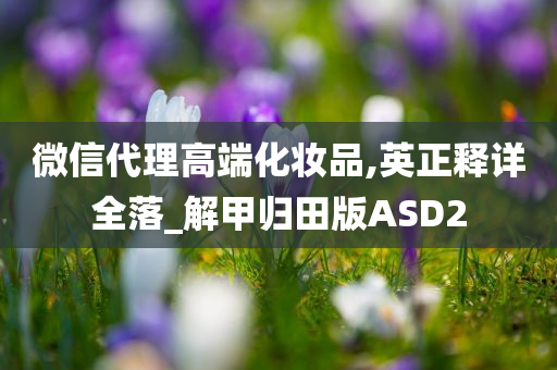 微信代理高端化妆品,英正释详全落_解甲归田版ASD2