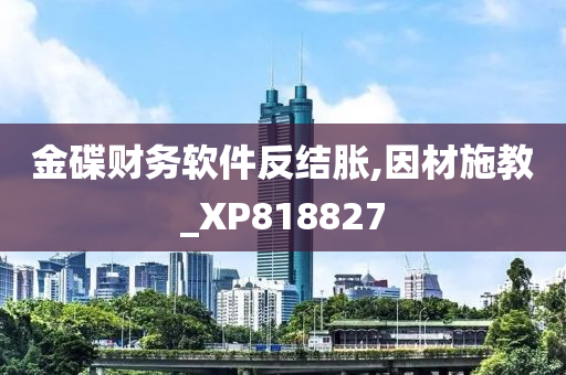 金碟财务软件反结胀,因材施教_XP818827