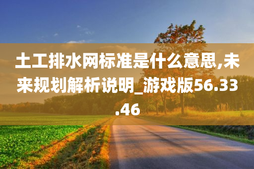 土工排水网标准是什么意思,未来规划解析说明_游戏版56.33.46