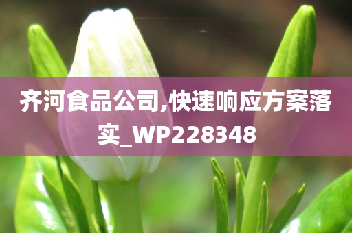 齐河食品公司,快速响应方案落实_WP228348