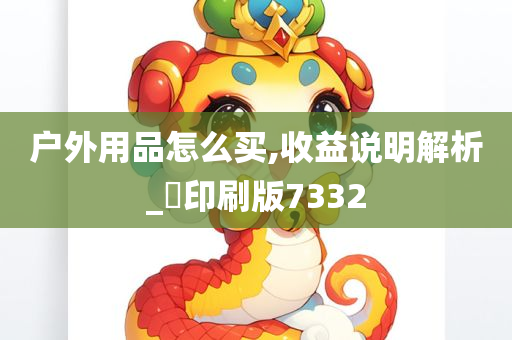 户外用品怎么买,收益说明解析_‌印刷版7332