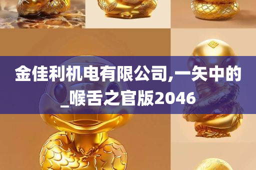 金佳利机电有限公司,一矢中的_喉舌之官版2046