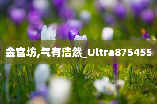 金宫坊,气有浩然_Ultra875455