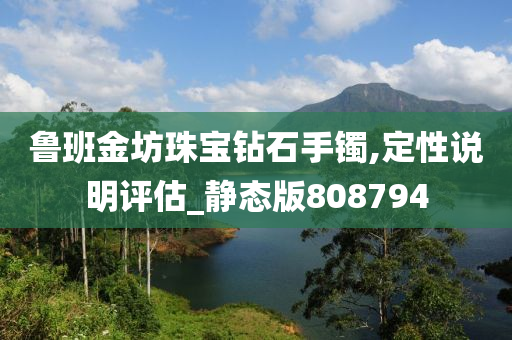 鲁班金坊珠宝钻石手镯,定性说明评估_静态版808794