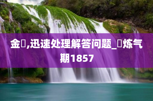 金鵄,迅速处理解答问题_‌炼气期1857