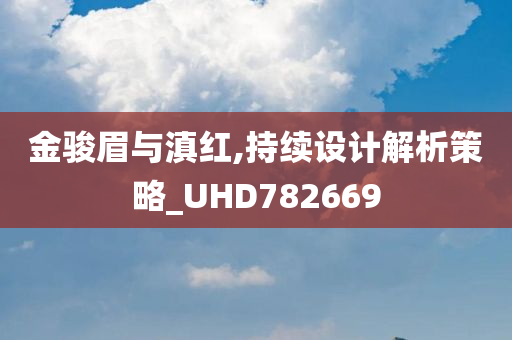 金骏眉与滇红,持续设计解析策略_UHD782669