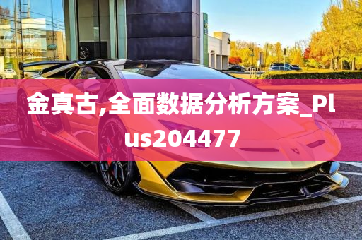 金真古,全面数据分析方案_Plus204477