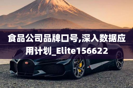 食品公司品牌口号,深入数据应用计划_Elite156622