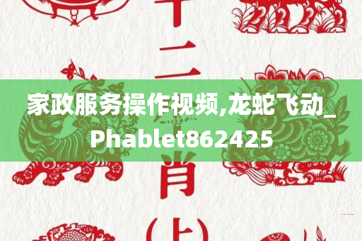 家政服务操作视频,龙蛇飞动_Phablet862425