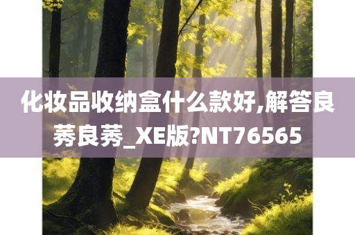 化妆品收纳盒什么款好,解答良莠良莠_XE版?NT76565