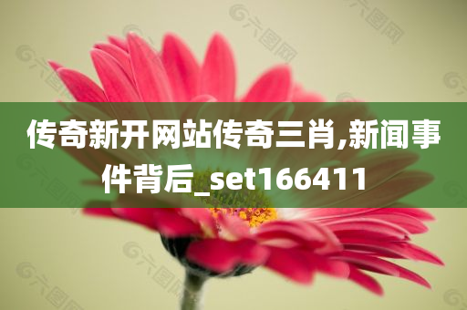 传奇新开网站传奇三肖,新闻事件背后_set166411