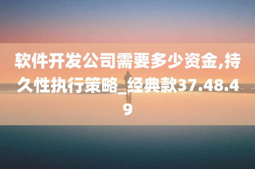 软件开发公司需要多少资金,持久性执行策略_经典款37.48.49