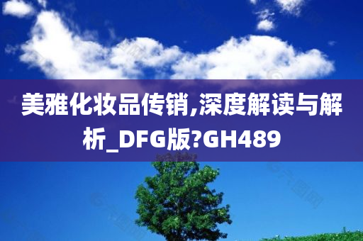 美雅化妆品传销,深度解读与解析_DFG版?GH489