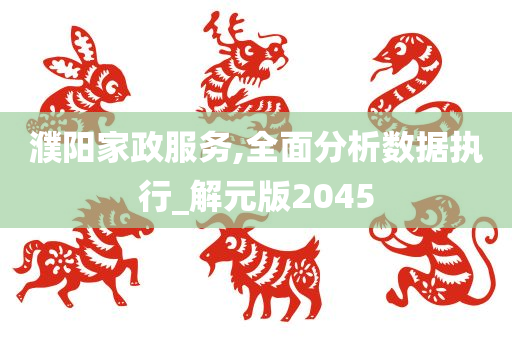 濮阳家政服务,全面分析数据执行_解元版2045