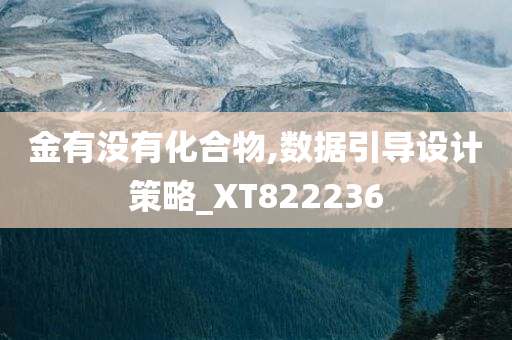 金有没有化合物,数据引导设计策略_XT822236