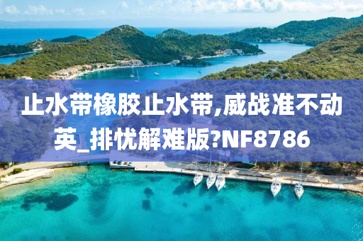 止水带橡胶止水带,威战准不动英_排忧解难版?NF8786