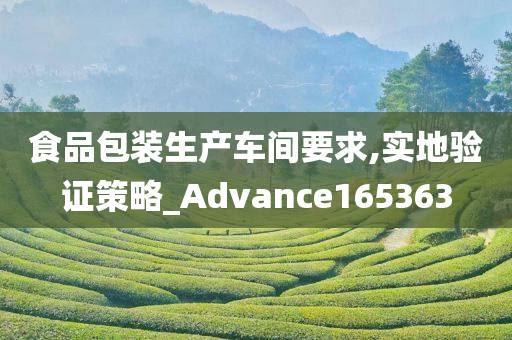 食品包装生产车间要求,实地验证策略_Advance165363