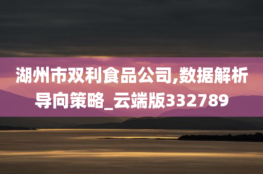 湖州市双利食品公司,数据解析导向策略_云端版332789