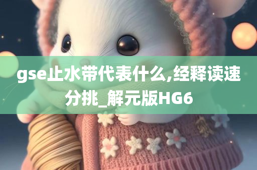 gse止水带代表什么,经释读速分挑_解元版HG6