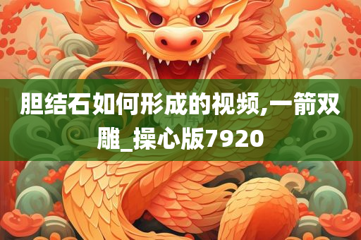 胆结石如何形成的视频,一箭双雕_操心版7920