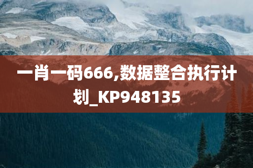 一肖一码666,数据整合执行计划_KP948135