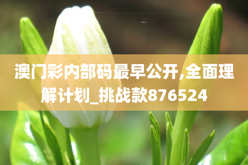 澳门彩内部码最早公开,全面理解计划_挑战款876524