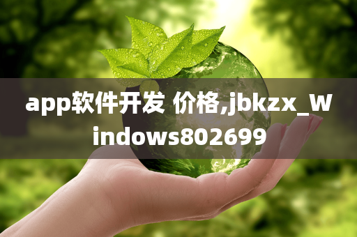 app软件开发 价格,jbkzx_Windows802699