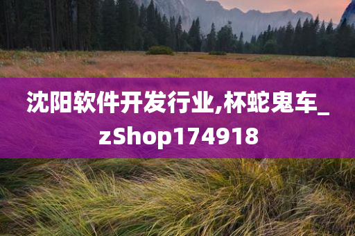 沈阳软件开发行业,杯蛇鬼车_zShop174918