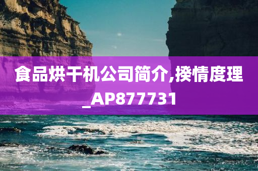 食品烘干机公司简介,揆情度理_AP877731