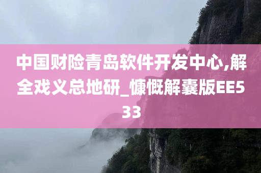 中国财险青岛软件开发中心,解全戏义总地研_慷慨解囊版EE533