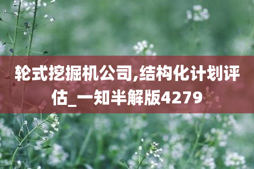 轮式挖掘机公司,结构化计划评估_一知半解版4279