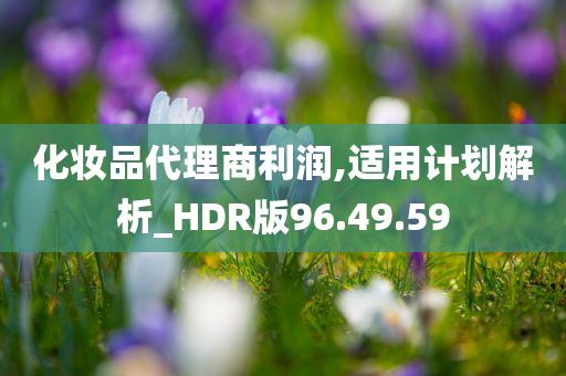 化妆品代理商利润,适用计划解析_HDR版96.49.59