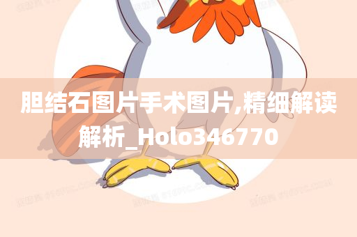 胆结石图片手术图片,精细解读解析_Holo346770