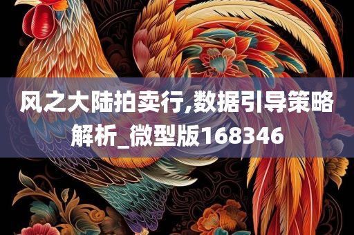 风之大陆拍卖行,数据引导策略解析_微型版168346