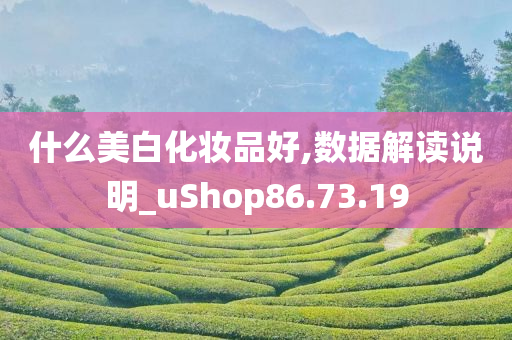 什么美白化妆品好,数据解读说明_uShop86.73.19