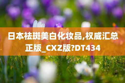 日本祛斑美白化妆品,权威汇总正版_CXZ版?DT434