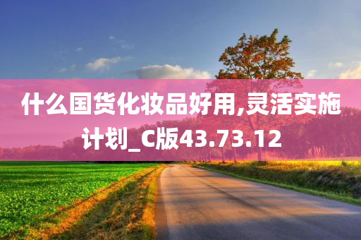 什么国货化妆品好用,灵活实施计划_C版43.73.12