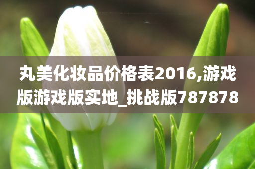 丸美化妆品价格表2016,游戏版游戏版实地_挑战版787878