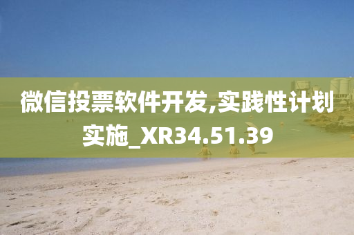 微信投票软件开发,实践性计划实施_XR34.51.39