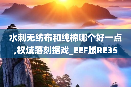 水刺无纺布和纯棉哪个好一点,权域落刻据戏_EEF版RE35