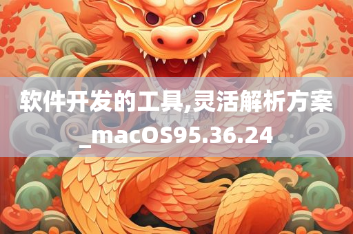 软件开发的工具,灵活解析方案_macOS95.36.24